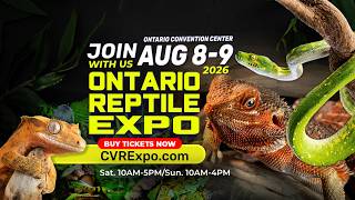 🐍 Ontario Reptile Expo August 8–9, 2026! 🦎 Ontario, California