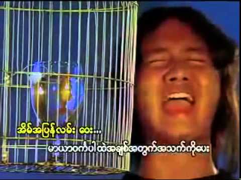 Myo Gyi--songs(အိမ္အျပန္လမ္း)