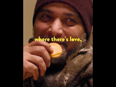 The Shelter - The Shelter
