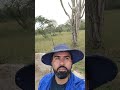 ontem caiu foi água aqui na roça #sertão #viral #viralvideo
