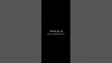 #كرومات_قران سورة لقمان القارئ ياسر الدوسري#quran #islam #explorepag