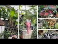 【観葉植物】静岡県にある大きな植物園でお買い物🌵🪴
