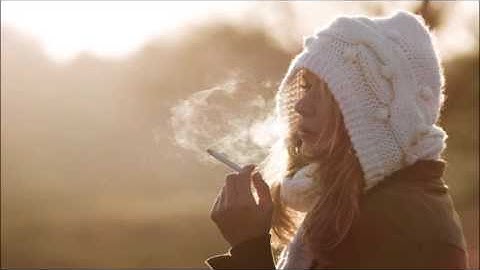 Message to Bears ~ At a glance