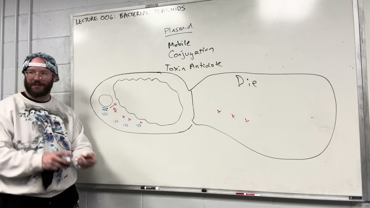 Methods in Synthetic Biology 2024: 006 Bacterial Plasmids