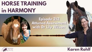 EP212: Evaluación en sintonía con la Dra. Lily Wilson