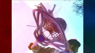 Firemesh Slo Mo Dream