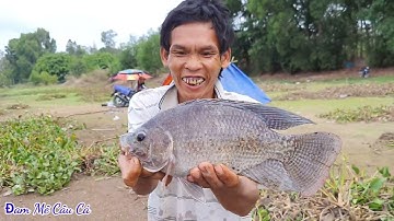 Ra hồ núi le test bài mồi chuyên câu cá trôi, chép, rô phi, mè vinh, Hiệu Quả - Dễ Làm - P3