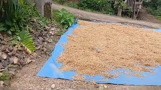 Download Lagu TIPE-X FULL ALBUM PILIHAN TERBAIK 2025🎧 TERPOPULER \u0026 TERHITS SEPANJANG MASA🎧 MP3