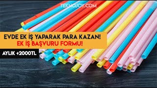 Ek İş Yaparak Nasıl Para Kazanılır? Ek İş Başvuru Formu 2021