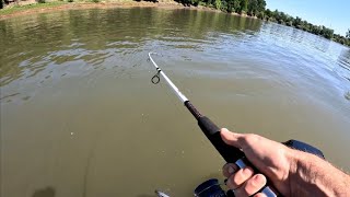 Sacramento River Striper Fishing spring run-4 Species Caught!