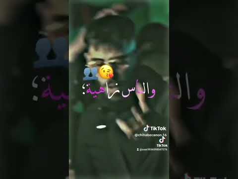 انتي نجمة في سماء ضاوية 