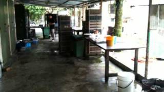 IMG_0193.MOV