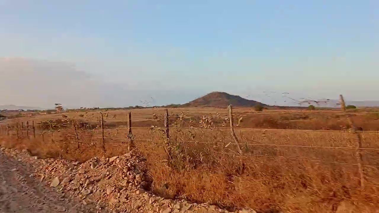 30 de dezembro de 2025