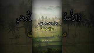 سافر تجد عوضاًً عمن تفارقه ... وانصب فان لذيذ العيش في النصب ... اني رايت وقوف الماء يفسده ..