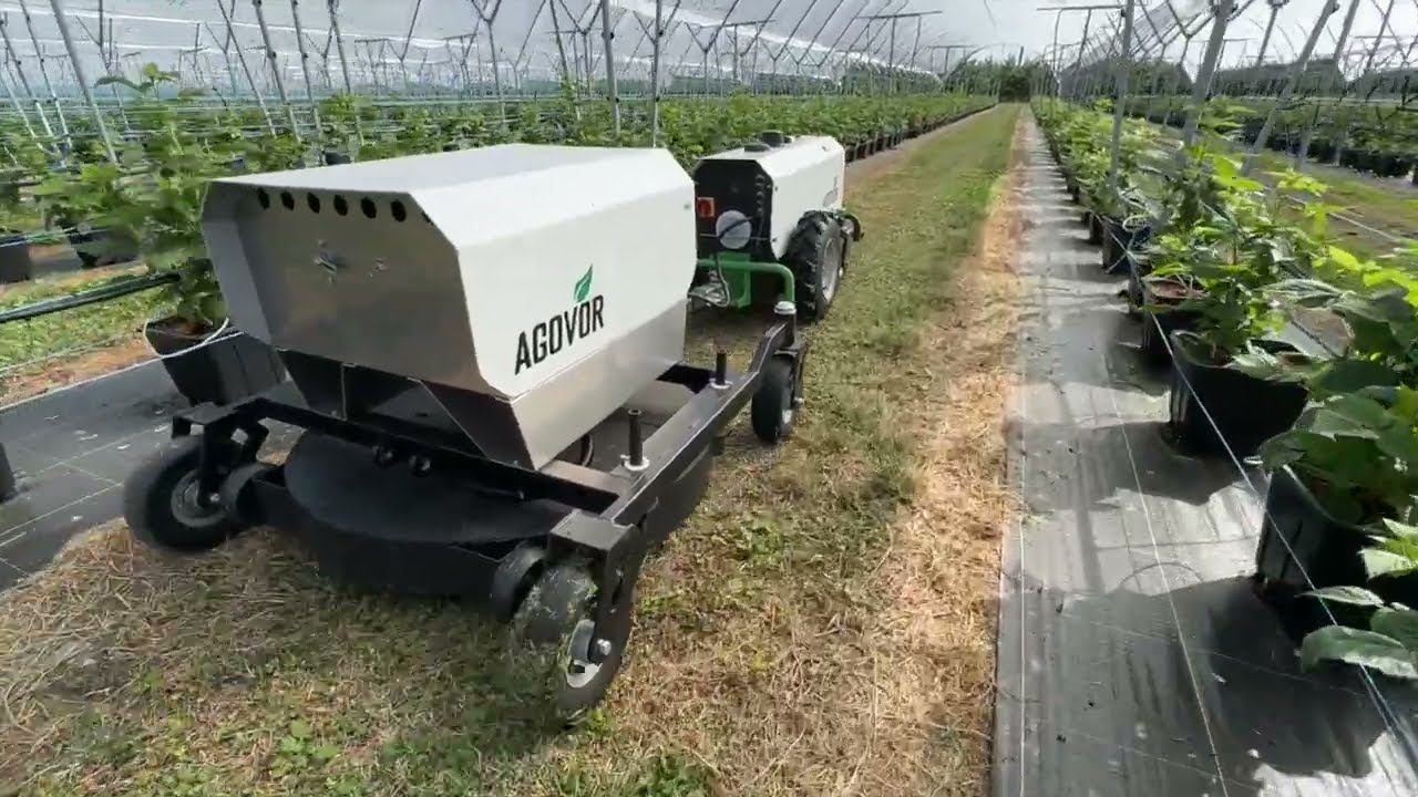 Govor - Mower Attachment: Berry Farm 🍓