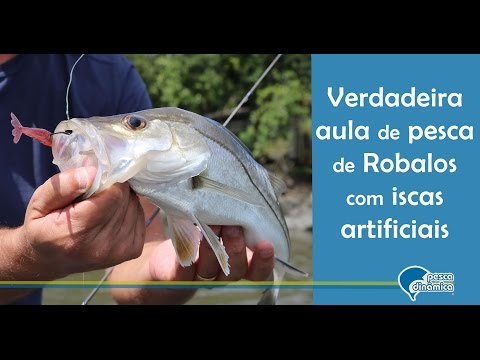 Top Dica - Verdadeira aula de pesca de robalos com camarão artificial em baías