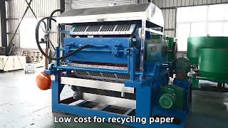 4000 pcs/h egg tray forming machine recycled paper pulp molding machine Whatsapp +8618339233758