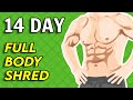 HIIT Cardio Home Fat and Calories Burning Workout (14 Day Full Body Fat Shred)