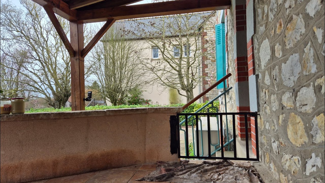 AM FACUT PORTIȚĂ  LA CATEI!!!!