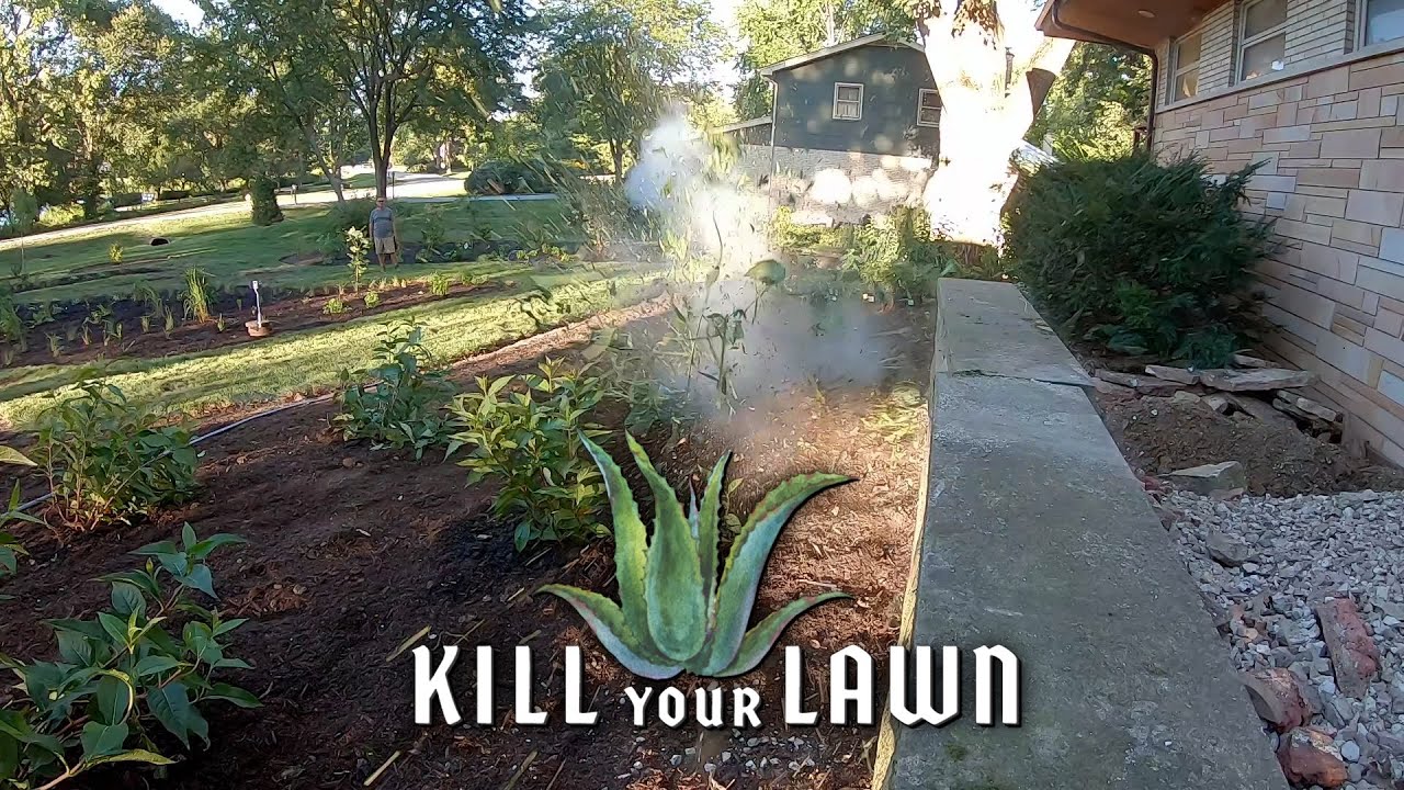 It's All Lawn or No Lawn | Kill Your Lawn | EarthX