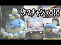 怪しい(中華製?)タマザラシぬいぐるみをアマゾンで購入した結果...???【ごまちゃん切り抜き】