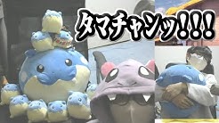 ごまちゃんねる Gomachannel Youtube
