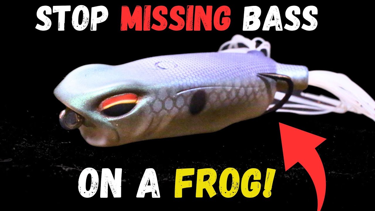 The LAST Frog Fishing Video You Will EVER Need To Watch! 