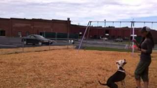 Sofia Potato & Bubbles