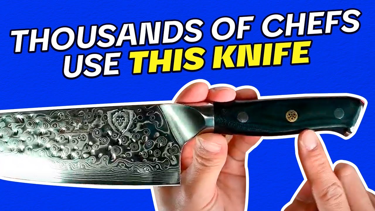 Made In vs. Misen: Which Knives Are Better? (10 Differences) 