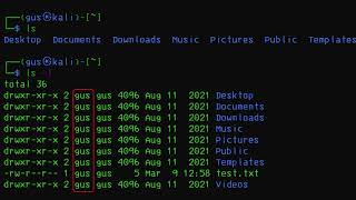 Celebrity Beginners Guide to Kali Linux Part 6 -  List and Explore Files in Terminal Wealth