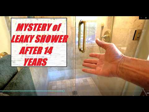 SHOWER FAILURE ....again