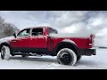 A Christmas Ride with Helga the Dog