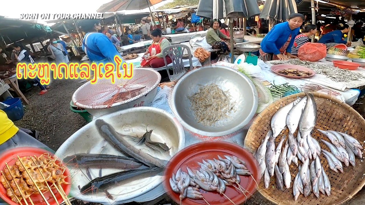 เที่ยวสะหวันนะเขต EP26 ປາ,ໄຂ່ມົດແດງ ຕະຫຼາດເເລງເຊໂນ 🇱🇦 ปลา,ไข่มดแดง อาหารป่า ตลาดแลงเชโน - YouTube