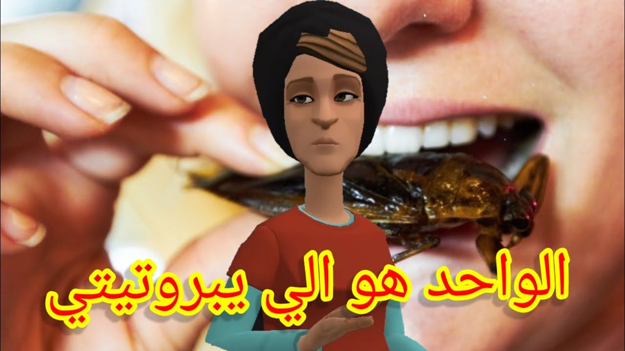 (بوشعيب والضاوية 416) عيشة بانتلها ف كريلو🪳والبلان لي بانلها تبغي تستاغلو😅😅