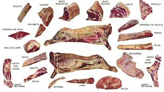 Cortes de carne ARGENTINOS vacuno y porcino 'MATIAS IMFORMA'  🐖🐄🐖 🐄 🐖 🐄 🐖 🐄 🐖