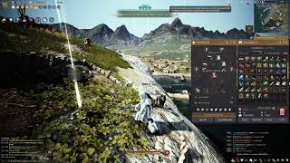 [ LIVE ] Black Desert Online : [Events] Kuku for Kuku Nests (Failed)