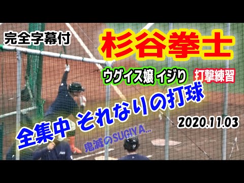 杉谷拳士選手ウグイス嬢イジりフリー打撃「全集中それなりの打球」スギノール 20201103 【完全字幕付】