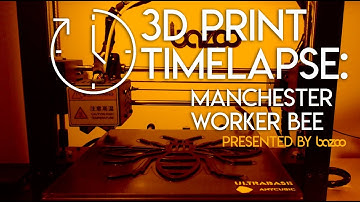 3D Printing Manchester Worker Bee Logo on Anycubic I3 Mega - Timelapse