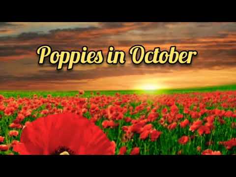 Sylivia Plath | Poppies in October, Paraphrase Critical Analysis - YouTube