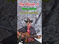 The Boxer Guitar Cover