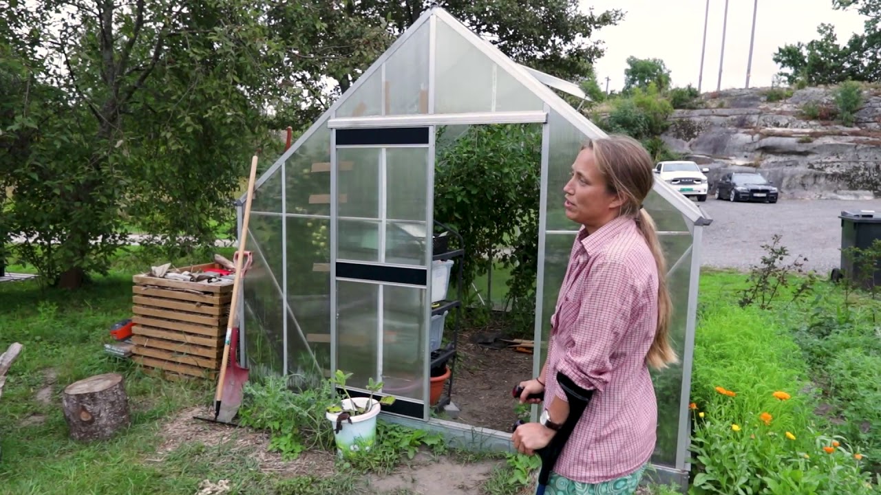 Omvisning Engelsviken parsell- og demohage - August 2020