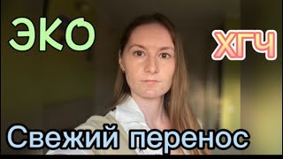 ЭКО IVM/СВЕЖИЙ ПЕРЕНОС ЭМБРИОНА/ЖИЗНЬ С БЕСПЛОДИЕМ