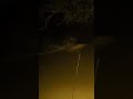 Massive Carp shot bowfishing. #carp #fishing #carpfishing #bowfishing #wildlife