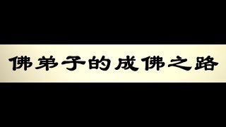 法界之心:佛弟子的成佛之路 第204 - 206页