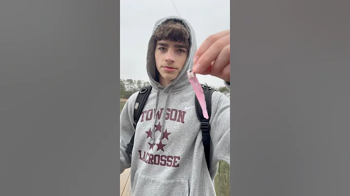 Nlbn 3 inch shrimp action review #fishing #nlbn #review #shortvideo #shorts #shorts #video #videos