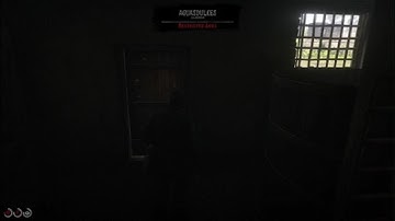 Aguasdulces Exploration In Guarma|RDR2