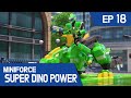 [MINIFORCE Super Dino Power] Ep.18: Jacky&#39;s Super Dino, T-rex!