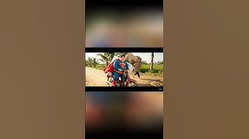 Capy cùng siêu nhân chở giúp bà cái điều hòa mới mua và cái kết #capybara