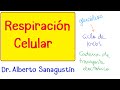 RESPIRACIÓN CELULAR #Bioquímica