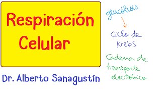 RESPIRACIÓN CELULAR #Bioquímica